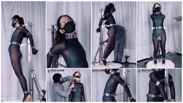 PlotBound-Steel Restrained P1