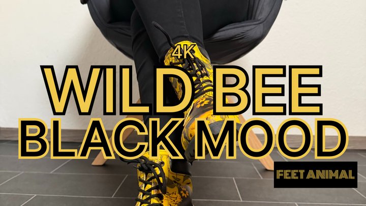 Vivid Strike - Graphic Combat Boots & Crossed Stance | Lady Evaa | 4K Version