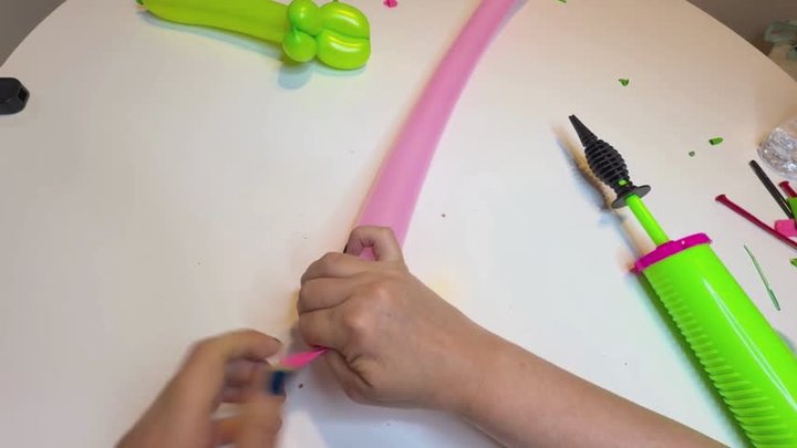 2Balloon Flower