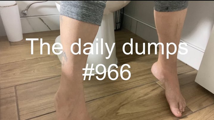 The daily dumps #966 mp4