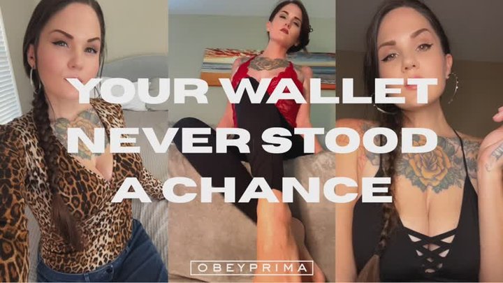 Your Wallet Never Stood A Chance (MP3)