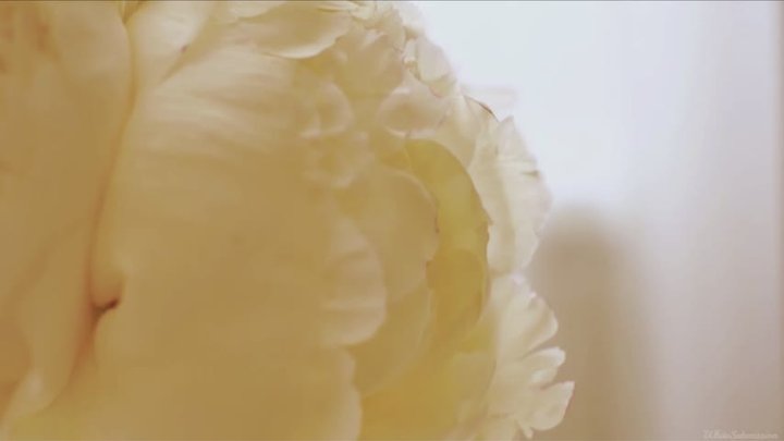 BNWO ASMR - Clarity (w-o music)