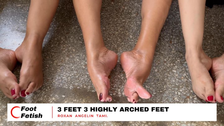 6 feet, 3 pairs of pronounced arches, and many wrinkled soles (4)