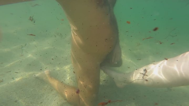 Underwater Handjob & cumshot at the nude beach