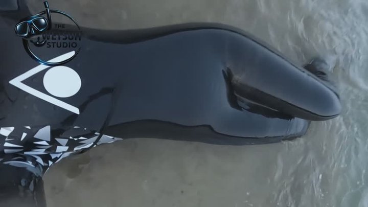 Peeing In Triathlon Wetsuit