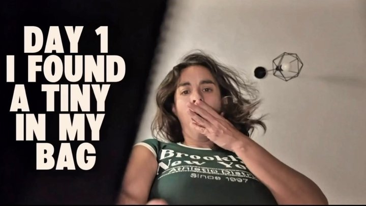 POV: YOU’RE THE TINY I FOUND IN MY BAG PURSE…