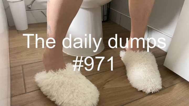 The daily dumps #971 mp4