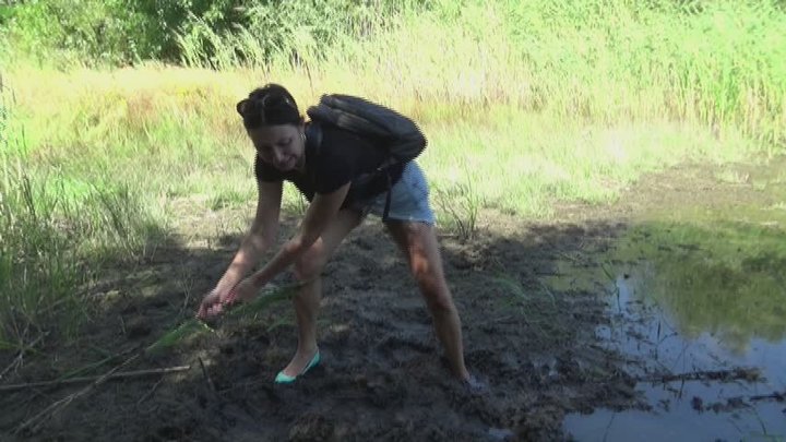 Heels against the wild swamp!