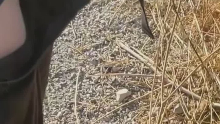 Boy Followed His Straight Friend Who Went for a Pee on the Road