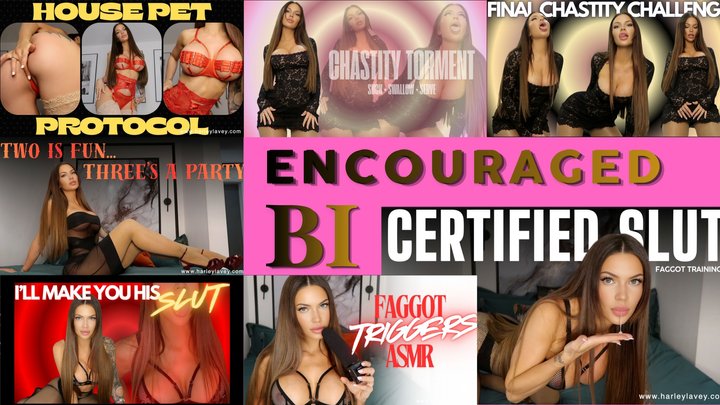 ENCOURAGED BI COMPILATION