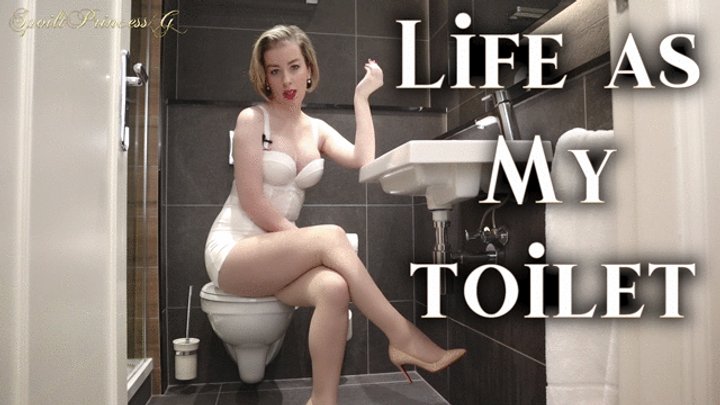 Life as My Toilet slave