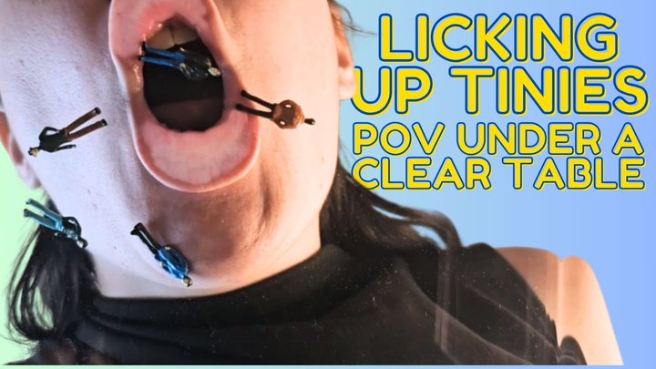 POV Licking Up Tinies Under a Clear Table