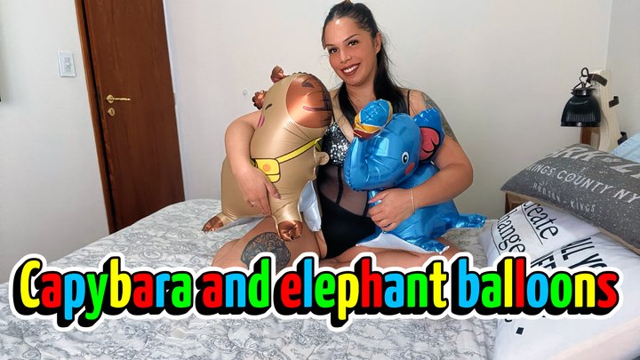 Capybara and elephant balloons