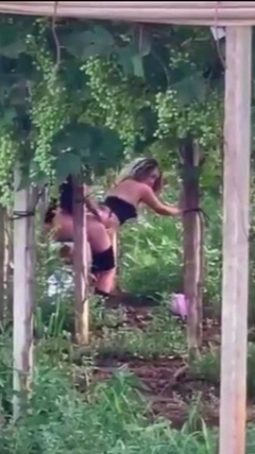 Spying blonde hooker fucking in the woods