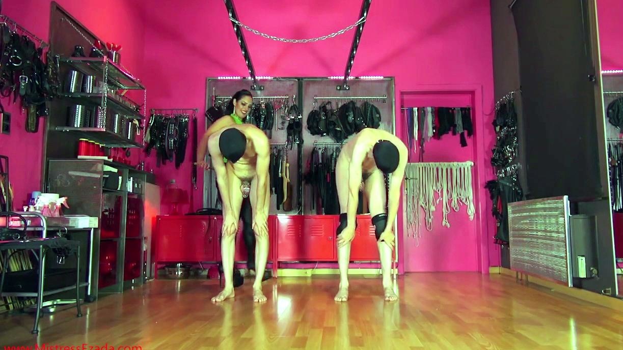 POSITIONS TESTING NEW SLAVE VS TRAINED SLAVE