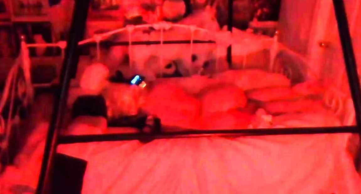 Amateur Hidden Cam