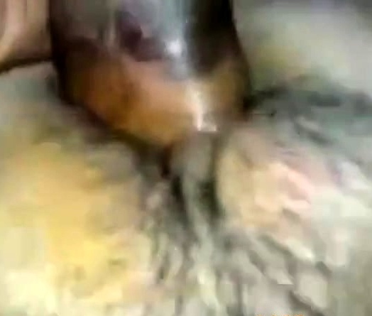 Amateur Asian Couple's Up-Close Intimate Sex Tape