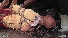 HardTied - Cupcake Sinclair