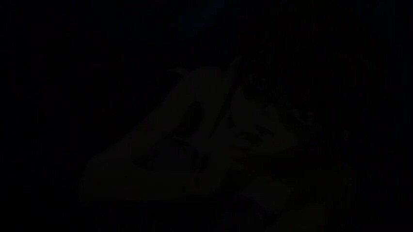 Slow Alluring Promise_090125p0003